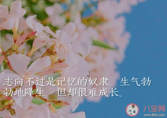 2020九月開始了正能量心情語錄 九月來了簡短一句話文案說說 2020九月開始了正能量心情語錄 九月來了簡短一句話文案說說