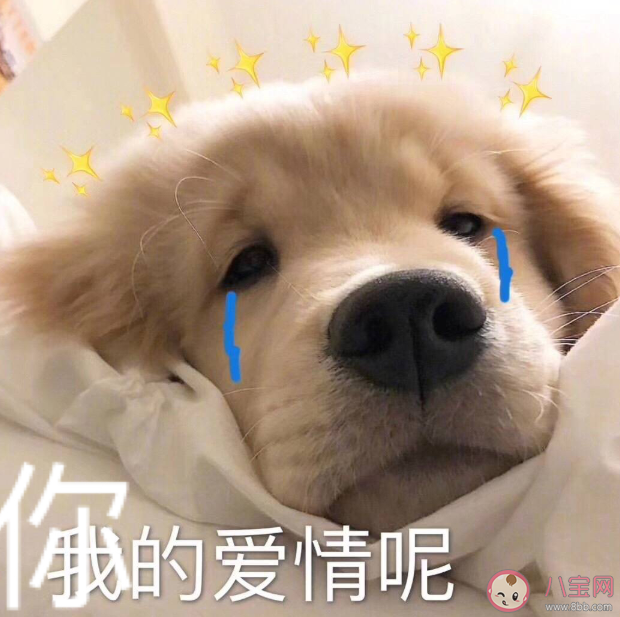 我對象說七夕陪我一天是什么意思 我對象說七夕陪我一天造句梗模仿