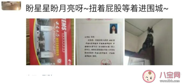 2020收到錄取通知書怎么發朋友圈  收到錄取通知書朋友圈配文