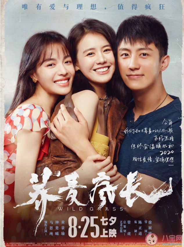 蕎麥瘋長講述了什么故事 蕎麥瘋長結局是什么