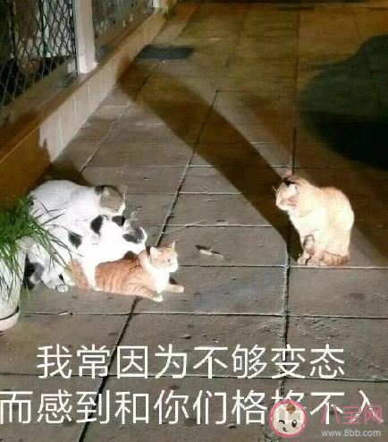 向往的網友相處模式是什么樣的 你最向往的是什么樣的相處方式