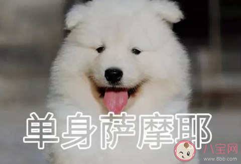 七夕可以租男女朋友嗎 情人節租男朋友多少錢