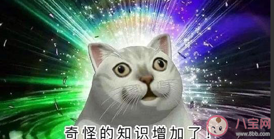 喝西北風(fēng)為什么是成語 聽起來很不像成語的成語有哪些