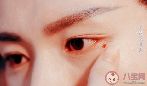 點痣專家褚璇璣什么梗 點痣專家褚璇璣什么意思 點痣專家褚璇璣什么梗 點痣專家褚璇璣什么意思