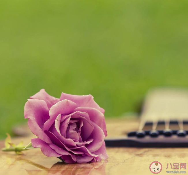 付出卻沒有回報的朋友圈說說配文 付出沒有回報的心情感慨句子 付出卻沒有回報的朋友圈說說配文 付出沒有回報的心情感慨句子