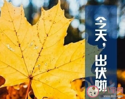 三伏天終于過(guò)完了的朋友圈說(shuō)說(shuō) 三伏天終于結(jié)束了發(fā)朋友圈句子