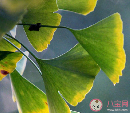 三伏天終于過(guò)完了的朋友圈說(shuō)說(shuō) 三伏天終于結(jié)束了發(fā)朋友圈句子