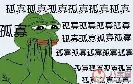 2020七夕蛤蟆孤寡表情包圖片大全 2020七夕蛤蟆搞笑表情包