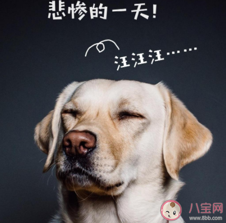 2020七夕情人節一個人過傷感的朋友圈 2020一個人過七夕寂寞傷感文案句子 2020七夕情人節一個人過傷感的朋友圈 2020一個人過七夕寂寞傷感文案句子