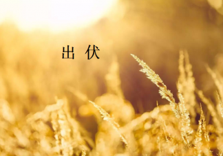 2020出伏后怎么養生 出伏養生要注意什么