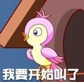 七夕布谷鳥是什么意思 七夕布谷鳥什么梗 七夕布谷鳥是什么意思 七夕布谷鳥什么梗