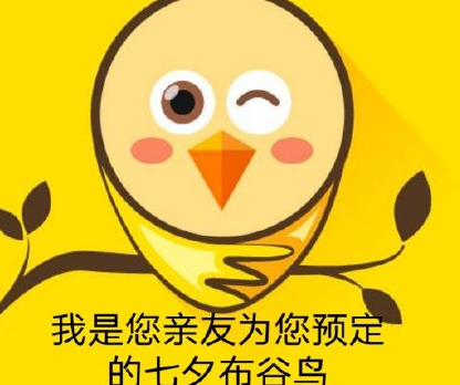 七夕布谷鳥頭像有哪些 七夕布谷鳥表情包圖片