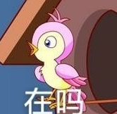 七夕布谷鳥頭像有哪些 七夕布谷鳥表情包圖片