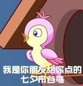 七夕布谷鳥頭像有哪些 七夕布谷鳥表情包圖片