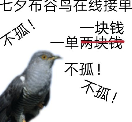 七夕布谷鳥頭像有哪些 七夕布谷鳥表情包圖片