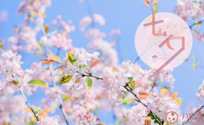 七夕過生日的心情說說分享 七夕過生日的朋友圈文案句子 七夕過生日的心情說說分享 七夕過生日的朋友圈文案句子