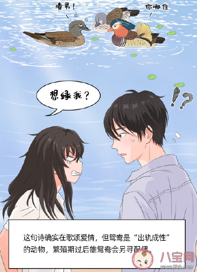 古詩中被誤用的情話大全 千萬不要用這些古詩來表白