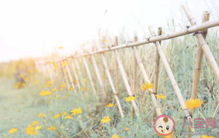 可以用于七夕表白的古詩(shī)情話 絕美的古詩(shī)情話大全