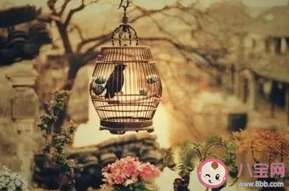 抖音我也曾經為某人癡狂來不及堅強是什么歌 《誰念西風獨自涼》完整歌詞相關介紹 抖音我也曾經為某人癡狂來不及堅強是什么歌 《誰念西風獨自涼》完整歌詞相關介紹