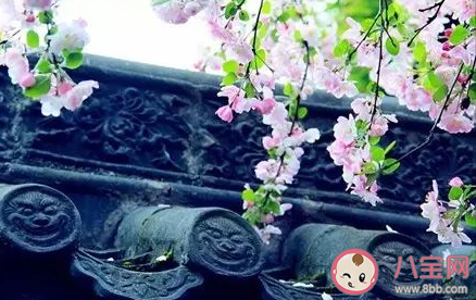 抖音我也曾經為某人癡狂來不及堅強是什么歌 《誰念西風獨自涼》完整歌詞相關介紹 抖音我也曾經為某人癡狂來不及堅強是什么歌 《誰念西風獨自涼》完整歌詞相關介紹