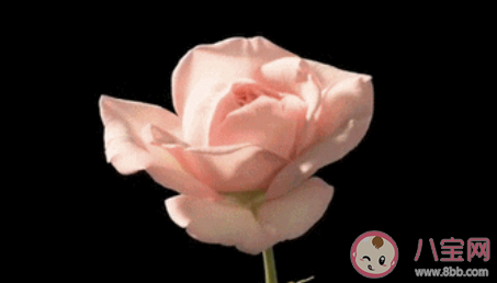 七夕節聽過最美的表白文案是什么 七夕最美表白文案短句