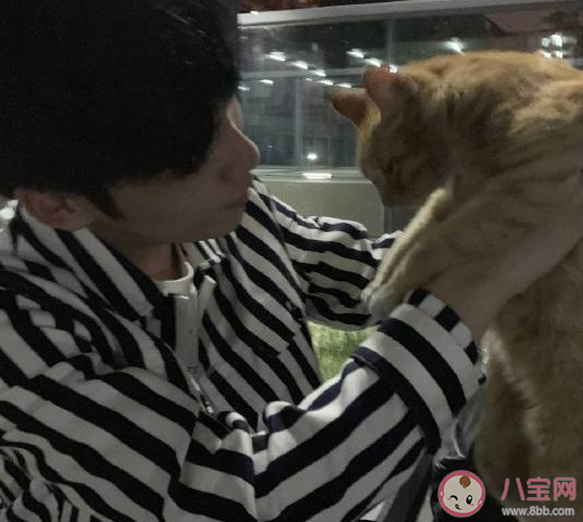 對男朋友很失望的的心情說說 對男朋友心寒的朋友圈感言