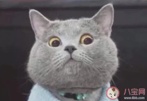 七夕倒過來寫是什么字 七夕反過來寫怎么念