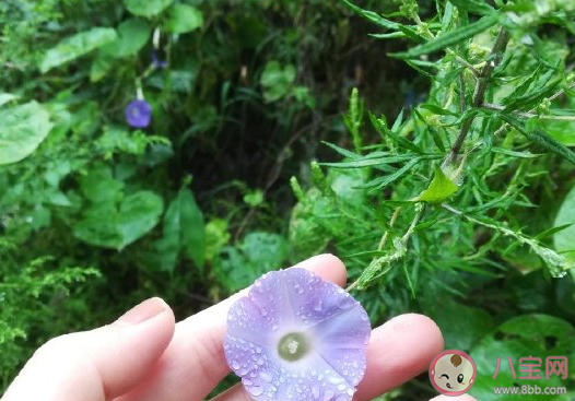 2020第一次出遠門的心情說說 疫情后第一次出門朋友圈感言句子