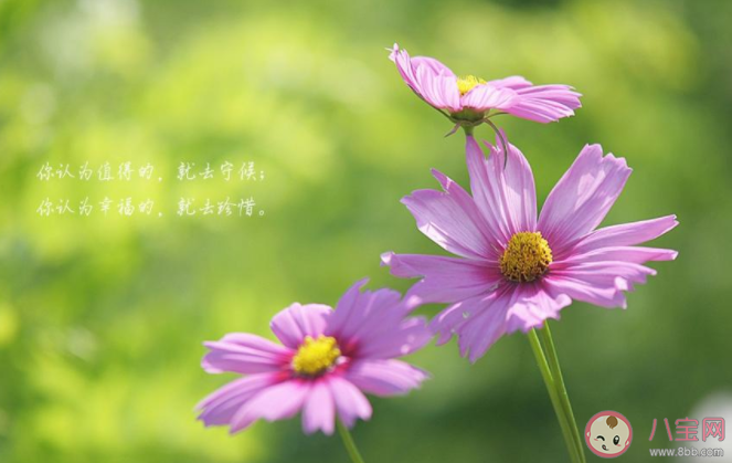 2020八月最后一天圖片心情說說 2020八月最后一天圖片發(fā)朋友圈文案句子