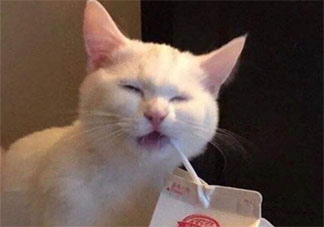 幽默段子爆笑簡短逗人開心的句子大全 爆笑幽默段子笑話發(fā)朋友圈