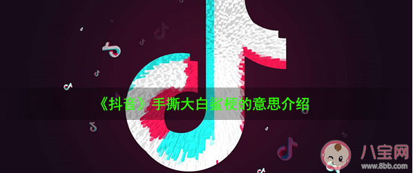 手撕大白鯊是什么意思什么梗 手撕大白鯊出處來源是什么 手撕大白鯊是什么意思什么梗 手撕大白鯊出處來源是什么