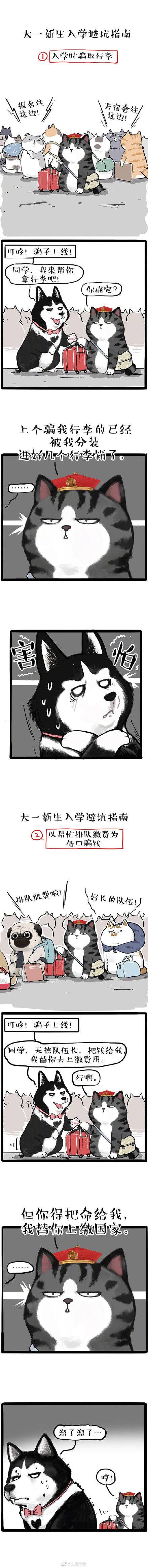 大一新生入學避坑指南 漫畫版開學防騙指南