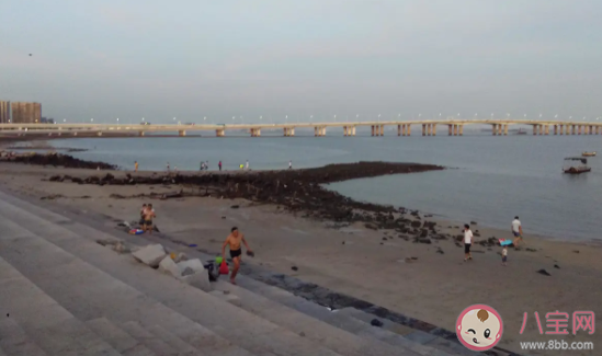 集美大橋上熱搜怎么回事 集美大橋在哪 集美大橋上熱搜怎么回事 集美大橋在哪