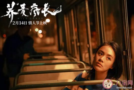 蕎麥瘋長很不好看嗎 蕎麥瘋長評價怎么樣