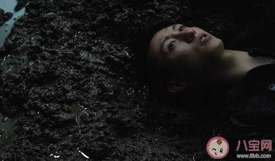 蕎麥瘋長很不好看嗎 蕎麥瘋長評價怎么樣