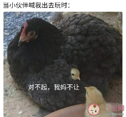 家教嚴是好事還是壞事 從小家教嚴是什么感受 家教嚴是好事還是壞事 從小家教嚴是什么感受