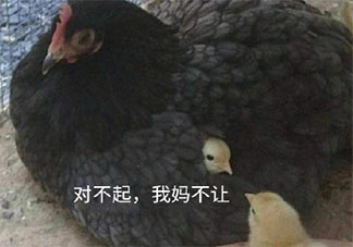 家教嚴是好事還是壞事 從小家教嚴是什么感受