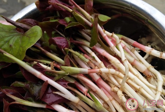 第一次吃折耳根涼拌怎么發(fā)說說 第一次吃折耳根的心情感受 第一次吃折耳根涼拌怎么發(fā)說說 第一次吃折耳根的心情感受