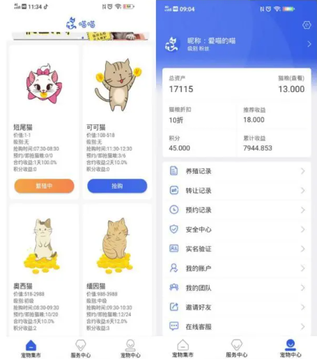 網(wǎng)上養(yǎng)貓平臺是怎么騙錢的 云養(yǎng)貓有哪些陷阱 網(wǎng)上養(yǎng)貓平臺是怎么騙錢的 云養(yǎng)貓有哪些陷阱