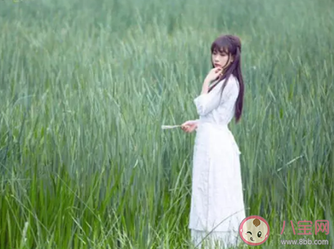 抖音高人竟在我身邊是什么梗什么意思 高人竟在我身邊意思出處是哪里