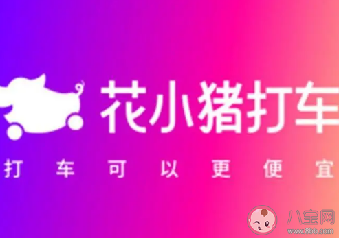滴滴花小豬打車被多地叫停怎么回事 滴滴花小豬打車靠譜嗎 滴滴花小豬打車被多地叫停怎么回事 滴滴花小豬打車靠譜嗎