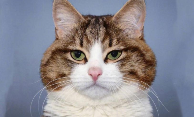 男女幽默逗笑的深夜聊天對話語錄大全 男女深夜調情聊天的搞笑句子 男女幽默逗笑的深夜聊天對話語錄大全 男女深夜調情聊天的搞笑句子