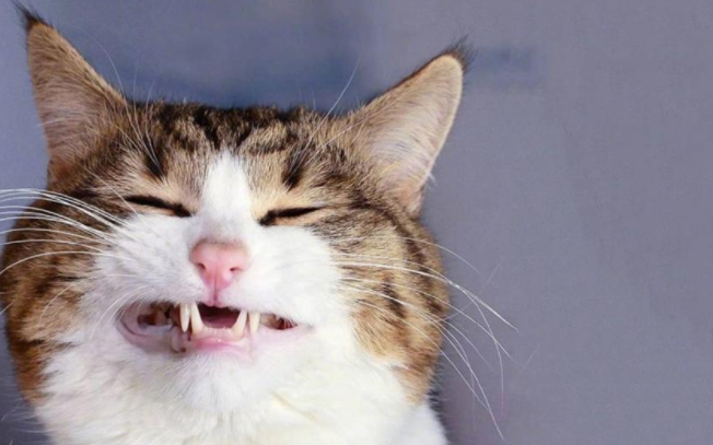 男女幽默逗笑的深夜聊天對話語錄大全 男女深夜調情聊天的搞笑句子 男女幽默逗笑的深夜聊天對話語錄大全 男女深夜調情聊天的搞笑句子