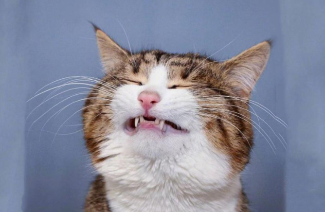 男女幽默逗笑的深夜聊天對話語錄大全 男女深夜調情聊天的搞笑句子 男女幽默逗笑的深夜聊天對話語錄大全 男女深夜調情聊天的搞笑句子