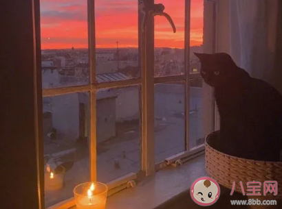 女生說忘不了前男友怎么回答 你給我唱首歌吧怎么回答