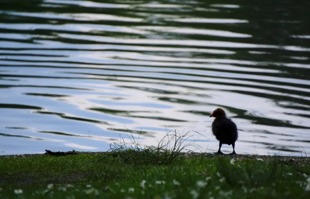 女生說你好污怎么回復幽默 你是暖男要怎么回答