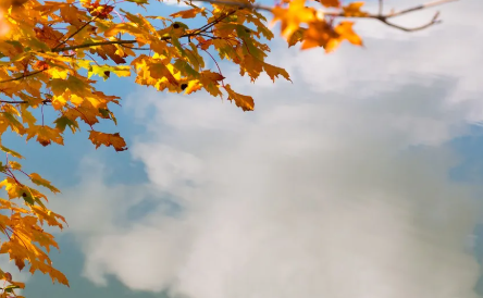 女生說你好污怎么回復幽默 你是暖男要怎么回答