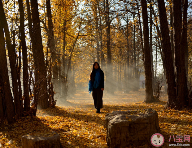 秋天到了心煩氣躁怎么改善心情 秋天為什么容易情緒低落 秋天到了心煩氣躁怎么改善心情 秋天為什么容易情緒低落