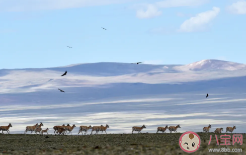 擅闖無人區(qū)到底有多險 無人區(qū)背后的危險