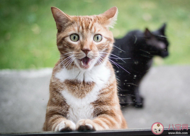 為什么富二代喜歡找個(gè)普通的工作上班 富二代還上班的原因